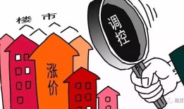 住房市场调控政策加码背景下的房价稳定深度探讨