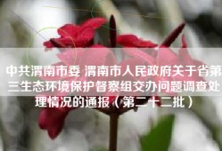 中共渭南市委 渭南市人民政府关于省第三生态环境保护督察组交办问题调查处理情况的通报（第二十二批）