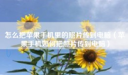 怎么把苹果手机里的照片传到电脑（苹果手机如何把照片传到电脑）