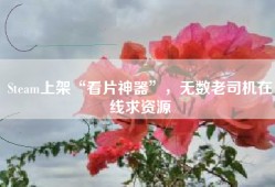 Steam上架“看片神器”，无数老司机在线求资源