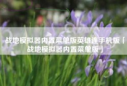 战地模拟器内置菜单版英雄连手机版「战地模拟器内置菜单版」