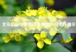 北京公安交管部门发布3月10日出行提示