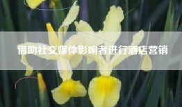 借助社交媒体影响者进行酒店营销
