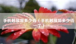 手机触摸屏多少钱（手机触摸屏多少钱一个）