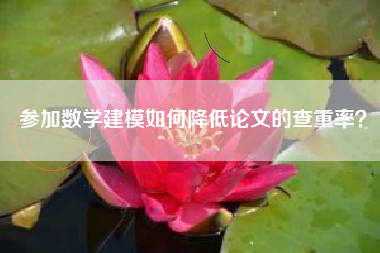 参加数学建模如何降低论文的查重率？