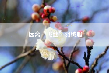 远离“飞丝”羽绒服