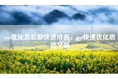 seo优化怎么做快速排名，seo快速优化思路文案