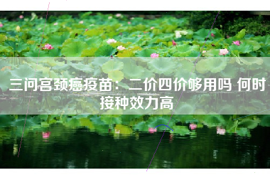 三问宫颈癌疫苗：二价四价够用吗 何时接种效力高