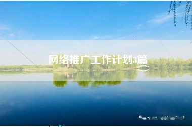 网络推广工作计划3篇