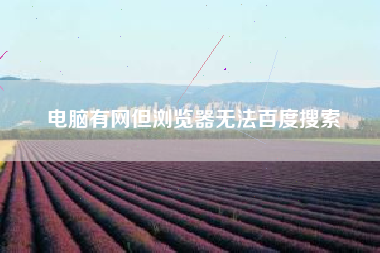 电脑有网但浏览器无法百度搜索
