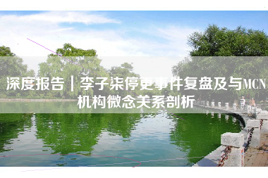 深度报告｜李子柒停更事件复盘及与MCN机构微念关系剖析