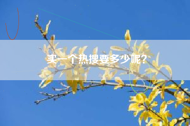 买一个热搜要多少呢？