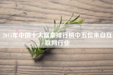 2014年中国十大富豪排行榜中五位来自互联网行业