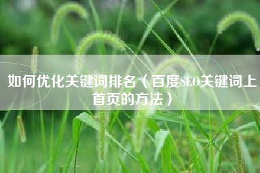 如何优化关键词排名（百度SEO关键词上首页的方法）