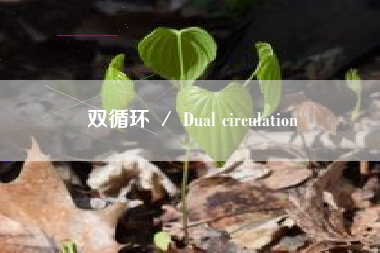 双循环 ／ Dual circulation