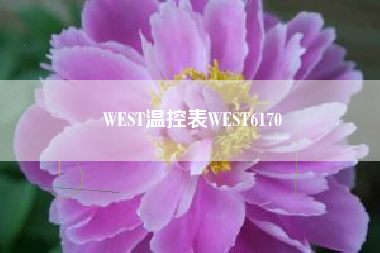 WEST温控表WEST6170