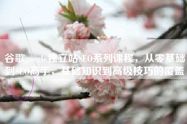 谷歌google独立站SEO系列课程，从零基础到SEO高手，基础知识到高级技巧的覆盖