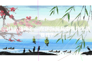 usd什么货币？usd在国际贸易中有什么重要性？