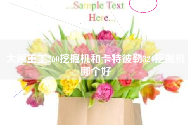 太原重工260挖掘机和卡特彼勒324挖掘机哪个好