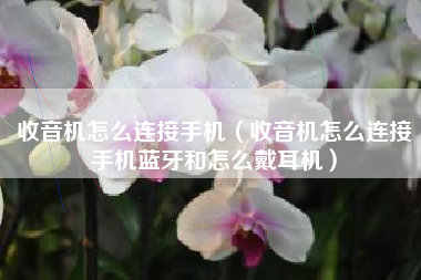 收音机怎么连接手机（收音机怎么连接手机蓝牙和怎么戴耳机）