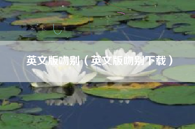 英文版吻别（英文版吻别下载）