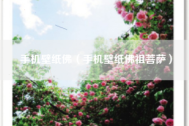 手机壁纸佛（手机壁纸佛祖菩萨）