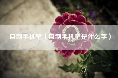 自制手机笔（自制手机笔是什么字）