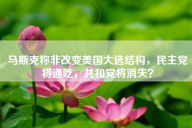 马斯克称非改变美国大选结构，民主党将通吃，共和党将消失？