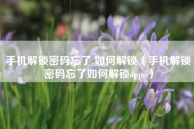 手机解锁密码忘了 如何解锁（手机解锁密码忘了如何解锁oppo）