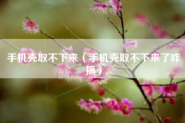 手机壳取不下来（手机壳取不下来了咋搞）