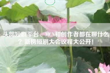 头部短剧平台、MCN和创作者都在聊什么?新榜短剧大会议程大公开! 头部短剧平台、MCN和创作者都在聊什么?新榜短剧大会议程大公开!