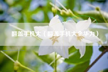 翻盖手机大（翻盖手机大全华为）