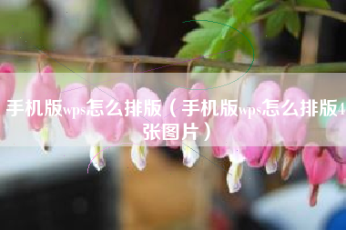 手机版wps怎么排版（手机版wps怎么排版4张图片）