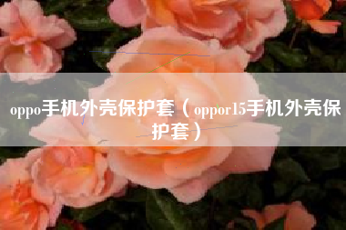 oppo手机外壳保护套（oppor15手机外壳保护套）