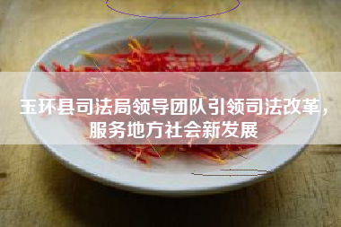 玉环县司法局领导团队引领司法改革，服务地方社会新发展