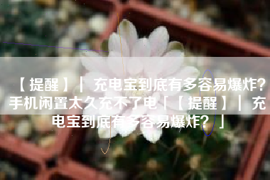 【提醒】｜ 充电宝到底有多容易爆炸？手机闲置太久充不了电「【提醒】｜ 充电宝到底有多容易爆炸？」