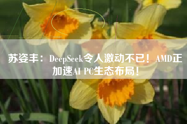 苏姿丰：DeepSeek令人激动不已！AMD正加速AI PC生态布局！