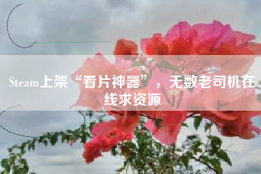 Steam上架“看片神器”，无数老司机在线求资源